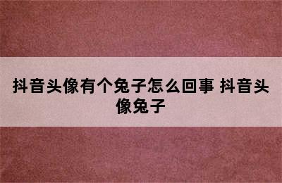 抖音头像有个兔子怎么回事 抖音头像兔子